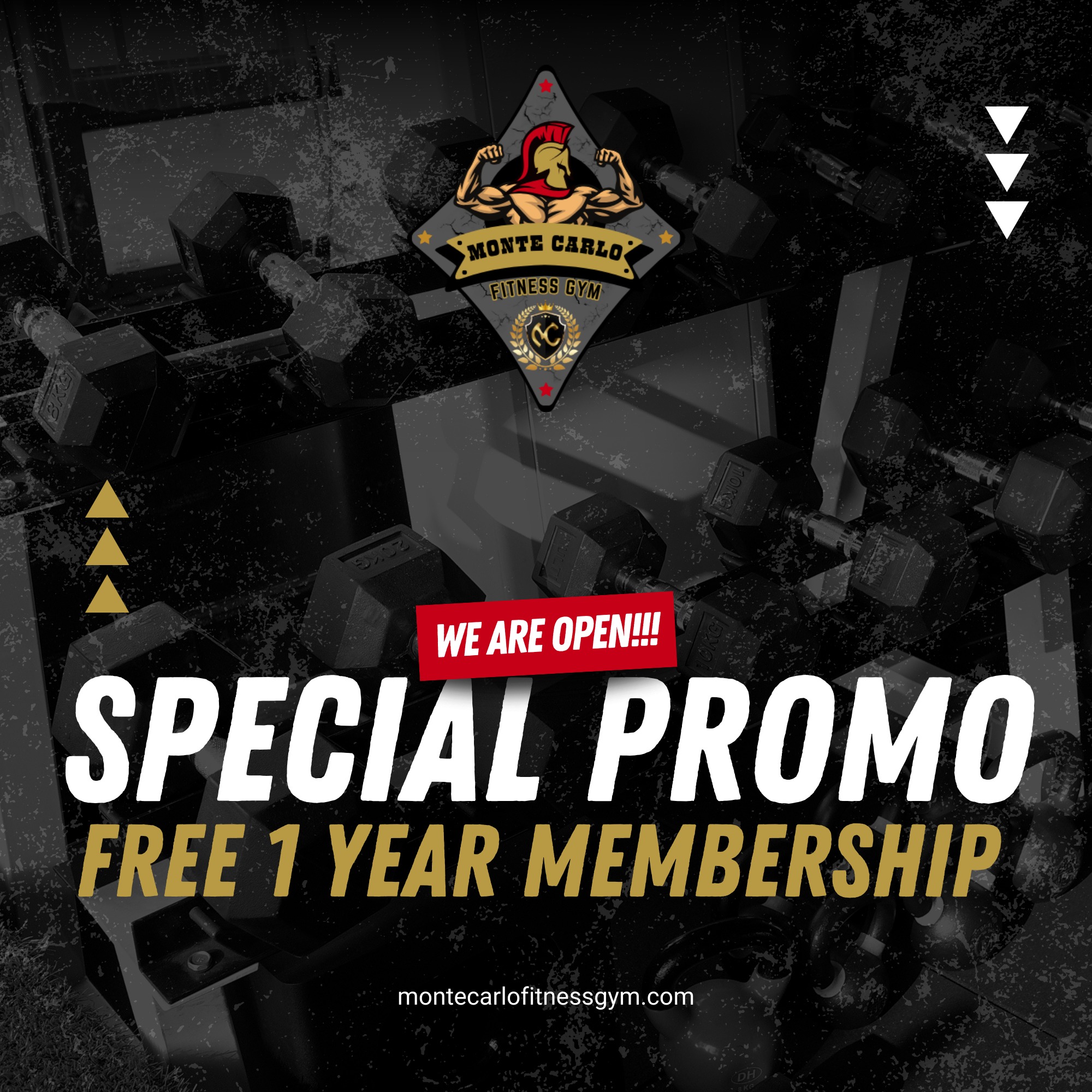 Special Muscle Building Promo