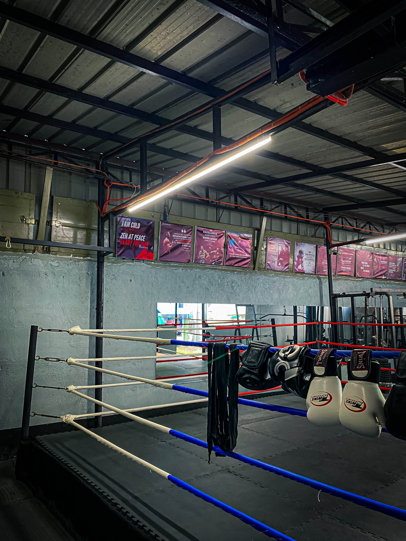 Monte Carlo Fitness Gym Equipment Row