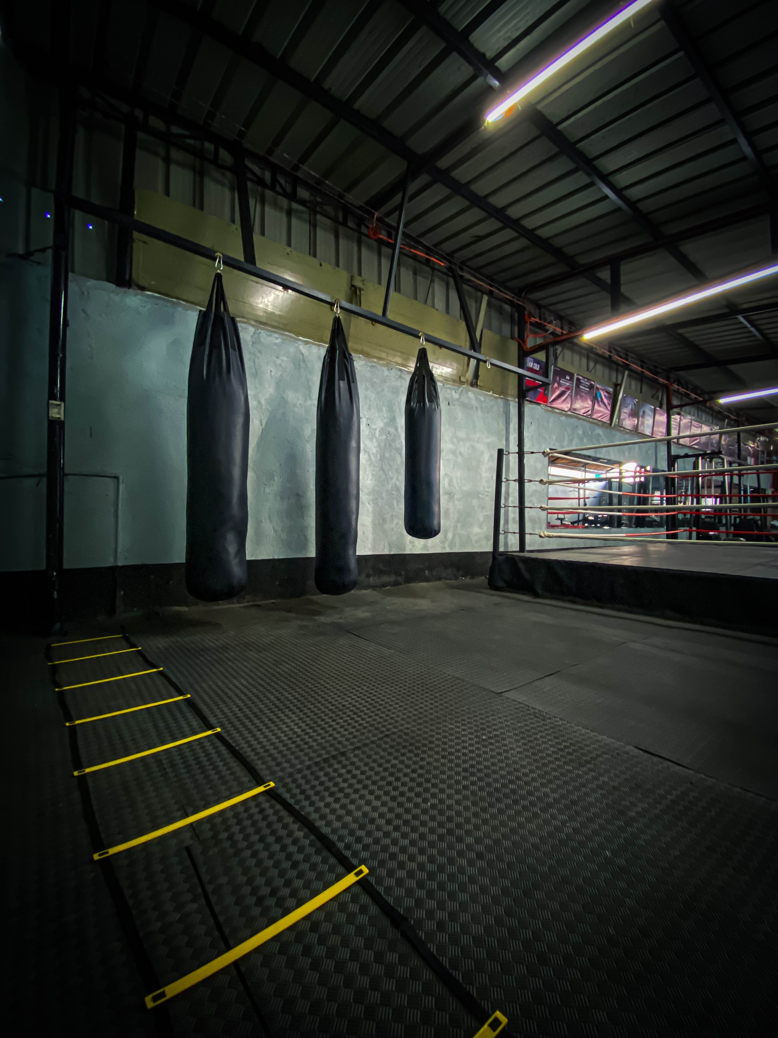 Monte Carlo Fitness Gym Machine Area