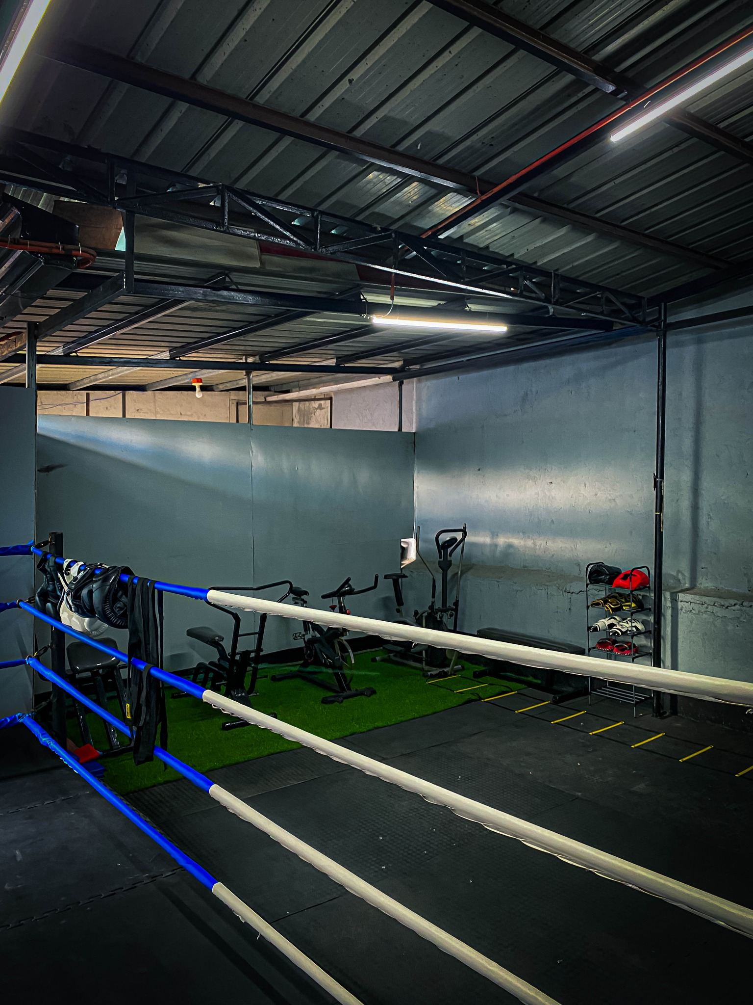 Monte Carlo Fitness Gym Equipment