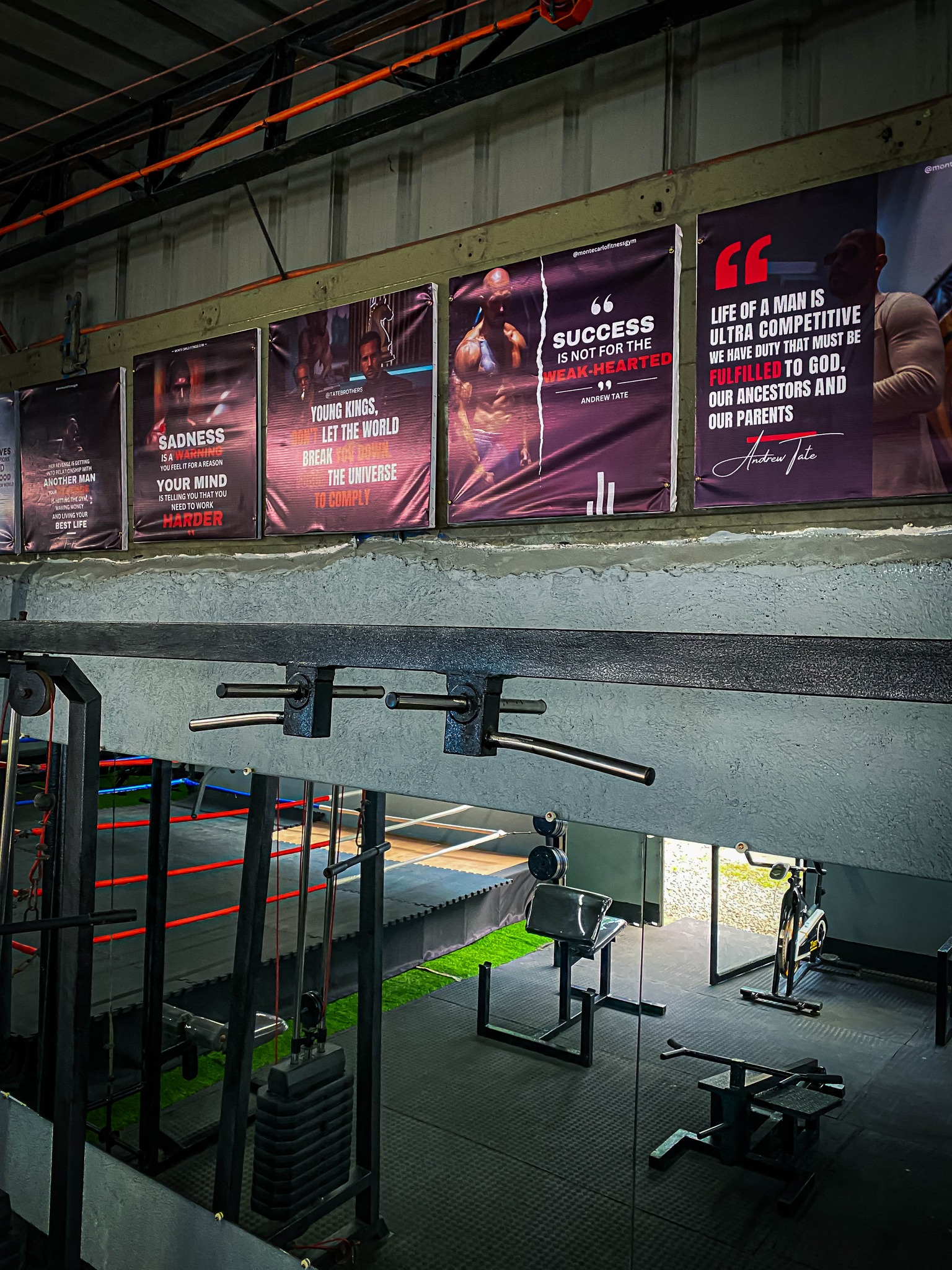 Monte Carlo Fitness Gym Workout Zone
