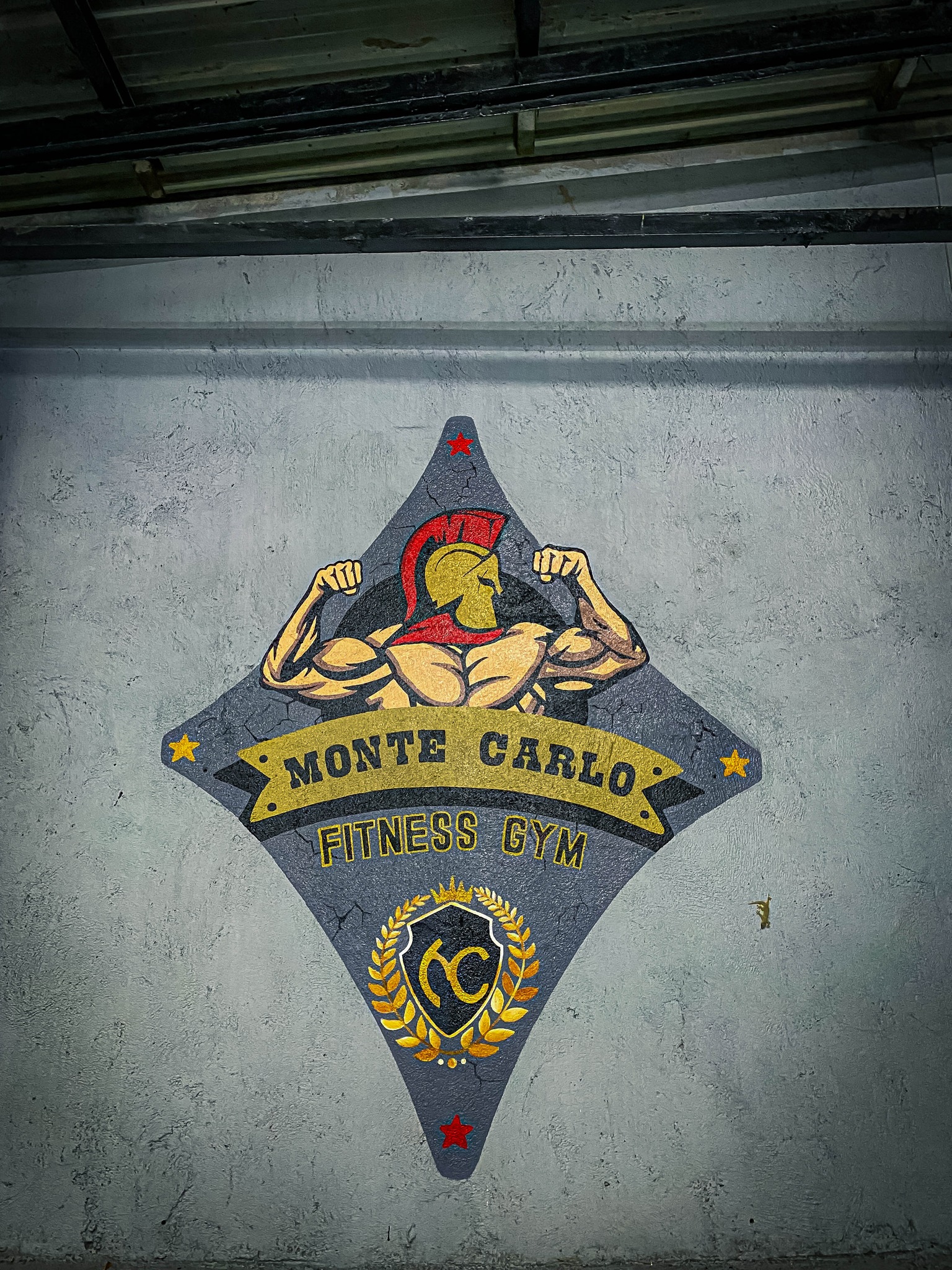 Monte Carlo Fitness Gym Complete View