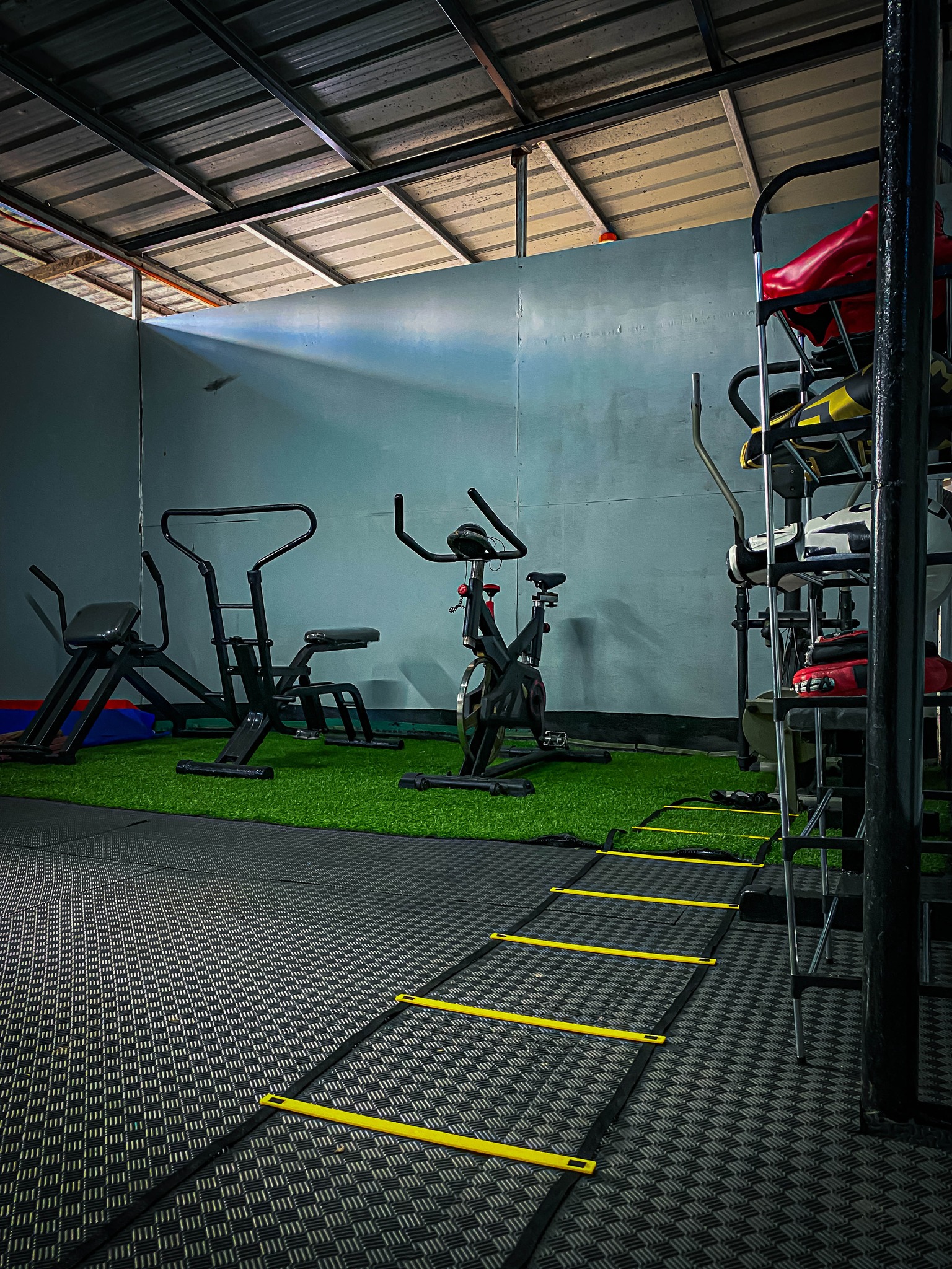 Monte Carlo Fitness Gym Functional Training